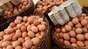 Preço dos ovos dispara e produto some das prateleiras.