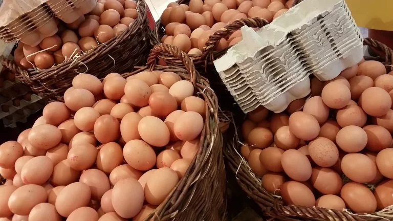 Preço dos ovos dispara e produto some das prateleiras.